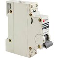 sl125-3-100-pro-ekf