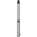 sm-c-2-38-d-cnp