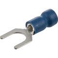 sq0503-0206-tdm6