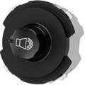 sq1819-0243-tdm