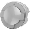 sq1819-0351-tdm