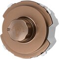 sq1819-0441-tdm