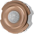 sq1819-0446-tdm