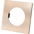 sq1819-0555-tdm