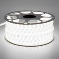 sst20-55244-saffit