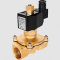 ssv-0010-024020-stout