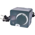 svm-0025-230017-stout