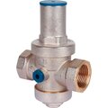 svs-1008-000025-stout