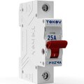tke-pz60-mdsi-1-25-tokov-electric