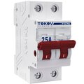 tke-pz60-mdsi-2-25-tokov-electric