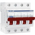tke-pz60-mdsi-4-100-tokov-electric