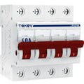 tke-pz60-mdsi-4-40-tokov-electric