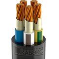 tkhm00070185-kabeks7