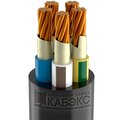 tkhm00194389-kabeks