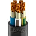 tkhm00195215-kabeks