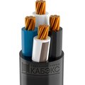 tkhm00209005-kabeks9