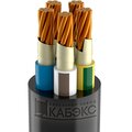 tkhm00214542-kabeks