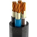 tkhm00216024-kabeks