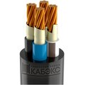 tkhm00343382-kabeks