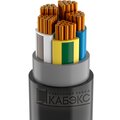 tkhm00381942-kabeks