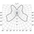 torshernye-lights-00564-galad-1