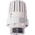 tr-550-01-mvi5