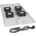 tray-100-cabeus