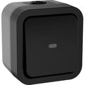 ts-v10-1-10-55-k53-iek