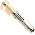 ut-00026682-smico