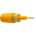 ut000141956-ntss