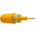ut000141958-ntss