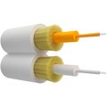 ut000141973-ntss