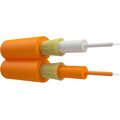 ut000141988-ntss