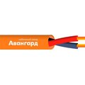 ut0005869-avangard