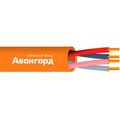 ut0005935-avangard