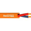 ut0006108-avangard