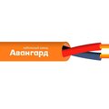 ut0041900-avangard