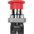 xb2-bs542-(3)