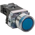 xb2-bw61-24-ekf