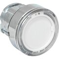 xb4bw-w-65-ekf
