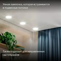 yndx-00556-yandex-2