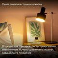 yndx-00557-yandex-2
