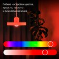 yndx-00558-yandex-3
