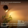 yndx-00559-yandex-2