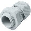 ysa20-08-09-54-k41-(3)